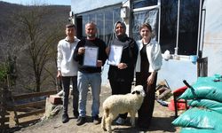 Samsun'da 46 yıllık arazi paylaşımı sorunu arabulucuyla 28 günde çözüldü