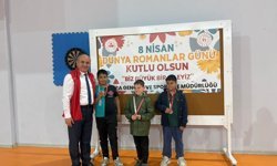 Samsun'da 'Dünya Romanlar Günü' etkinliği düzenlendi