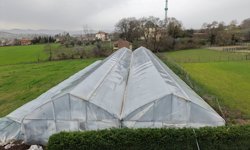 Samsun'da ev hanımının belediyenin desteğiyle kurduğu sera kadınlara istihdam sağlıyor