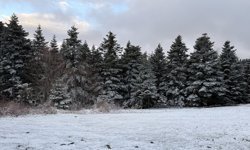 Samsun'da nisan ayında yağan kar doğayı beyaza bürüdü