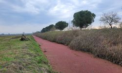 Samsun'da sulama kanalındaki su yüzeyi kırmızıya dönüştü