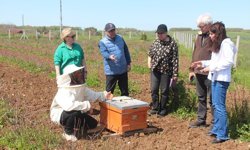 Samsun'da UNDP desteğiyle kadın çiftçilere ilaçsız tarım eğitimi verildi