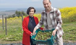 Samsunlu girişimci çift, üretimine başladıkları ak zambak soğanlarını ihraç etmek istiyor