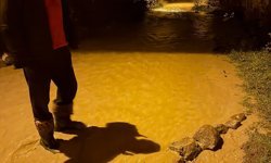 Şebinkarahisar'da sağanak etkili oldu