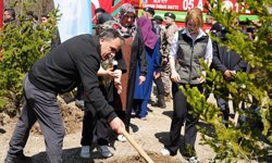 Şehit polis memuru Emre Albayrak adına hatıra ormanı oluşturuldu