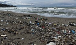 Sinop'ta şiddetli rüzgar sonrası sahilin bir bölümü çöple kaplandı