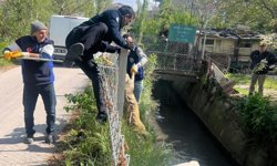 Suluova'da sulama kanalına düşen köpek kurtarıldı