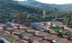 TARIM ARAZİLERİ İÇİN YENİ DÖNEM