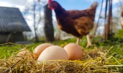 ÜRETİMDE DÜŞÜŞ VAR!