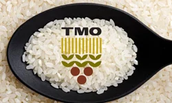 TMO: Tüm pirinçler yerli üreticiden