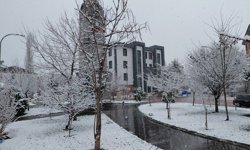 Tokat'ın ilçelerinde kar yağışı etkili oluyor