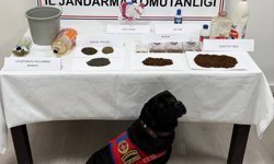 Tokat'ta uyuşturucu operasyonunda 8 zanlı yakalandı