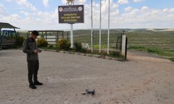 Urfa ceylanlarının envanteri yapay zeka desteğiyle çıkarılıyor