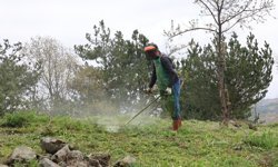 Vezirköprü'de mezarlıklarda temizlik çalışması yapıldı