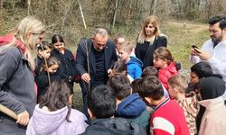 DOĞAYA CAN VERDİLER, ARDA GÜLER DETAYI