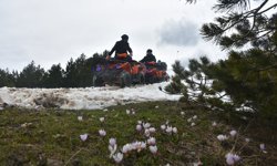 Zigana Dağı safari yapmak isteyenleri ağırlıyor