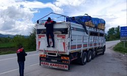 Amasya'dan batı illerine sevk edilen kurbanlıklar denetleniyor
