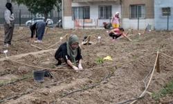 Avrupa'dan Bornova'ya kent bostanı incelemesi