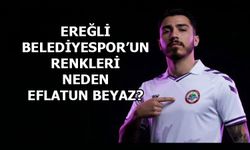 NEDEN SARI, LACİVERT, KIRMIZI DEĞİL?