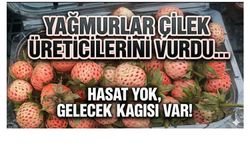 OSMANLI ÇİLEĞİ 700 LİRA