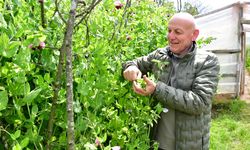 Başkan Kul, çiftçilerin gününü kutladı