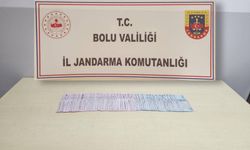 Bolu'da hırsızlık şüphelisi tutuklandı