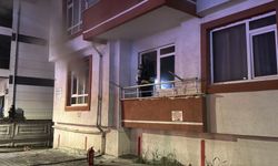 Bolu'da itfaiyenin yaşatmak için seferber olduğu kedi kurtarılamadı
