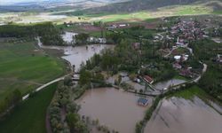 Çekerek Irmağı'nın neden oldu taşkınlar dronla görüntülendi