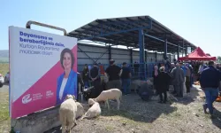 Eskişehir kurban pazarında hijyenik mesai