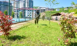 Giresun'da yaz mesaisine hız verildi