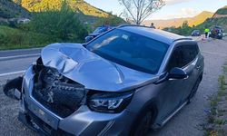Gümüşhane'de otomobilin çarptığı yaya hayatını kaybetti