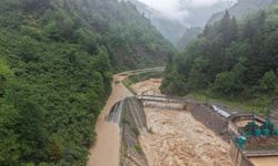 GÜNCELLEME - Ordu ve Giresun'da yağış etkili oldu