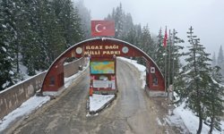 Ilgaz Dağı'nda kar yağışı etkili oldu