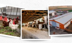 218 PROJEYE 2,5 MİLYAR TL HİBE
