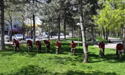 Kayseri Kocasinan'da açık alanlarda yoğun ilaçlama