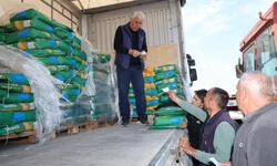 Kocaeli'de traktörler tarlalara indi, mısır ekimi başladı