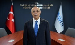 Küresel su politikaları İstanbul'da masaya yatırılacak