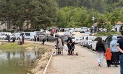 Laçin Yeşil Göl Mesire Alanı'nda yoğunluk oluştu