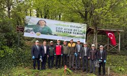 Ordu ve Artvin'de 'Orman Benim' etkinliği düzenlendi