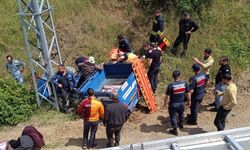 ALAPLI'DA CAN PAZARI!..