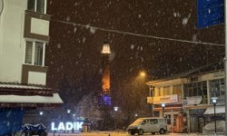 Samsun'un Ladik ilçesinde kar yağışı etkili oldu