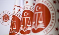 e-DURUŞMA AÇIKLAMASI