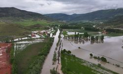 Tokat'ın Turhal ilçesinde taşkın nedeniyle araziler su altında kaldı