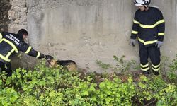 Tokat'ta dere kanalına düşen köpek kurtarıldı