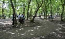 Türkeli'de 'Orman Benim' etkinliği düzenlendi