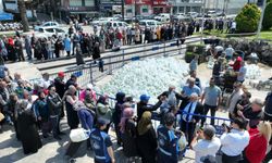350 BİN ATA TOHUMU FİDESİ DAĞITILDI