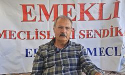 EMS, ANASAYA MAHKEMESİNE BAŞVURDU