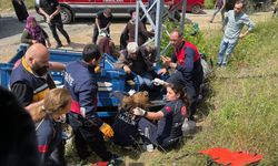 Zonguldak'ta elektrik direğine çarpan tarım aracında 6 kişi yaralandı