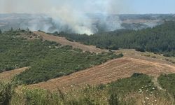 Adana'da park halindeki araçta çıkan yangın ormanlık alana sıçradı