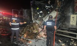 Anadolu Otoyolu'nda tavuk eti yüklü tırda çıkan yangın söndürüldü